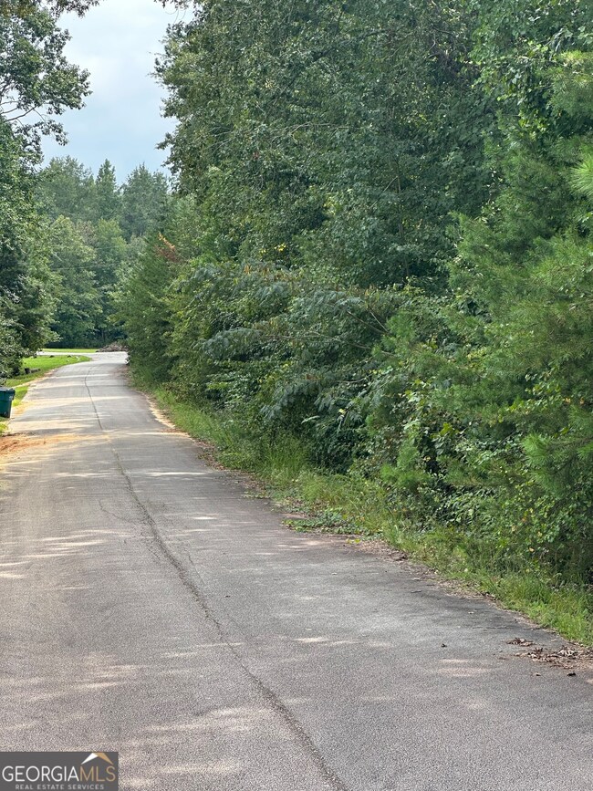 0 Wards Creek Rd unit 10587308, Toccoa, GA 30577 - photo 6