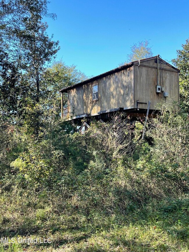 Unfinished Cabin
