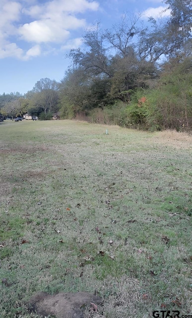 112 N Price St, Troup, TX 75789 - photo 7