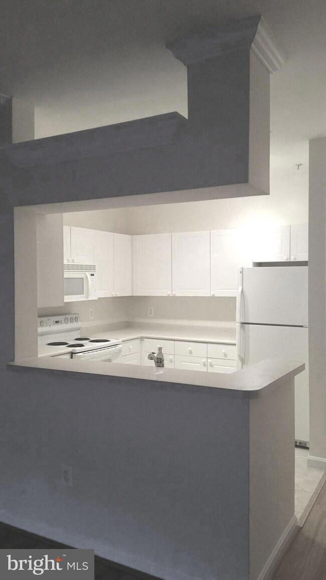 4551 Strutfield Ln unit 4316, Alexandria, VA 22311 - photo 5