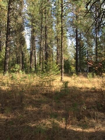 234 Eagle Dr, Chewelah, WA 99109 - photo 4