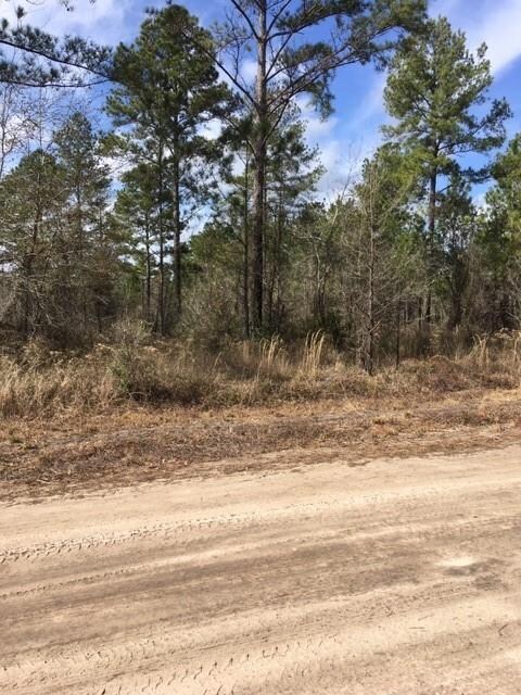 Lots 104 Colonial Coast Cir NE, Townsend, GA 31331 - photo 4