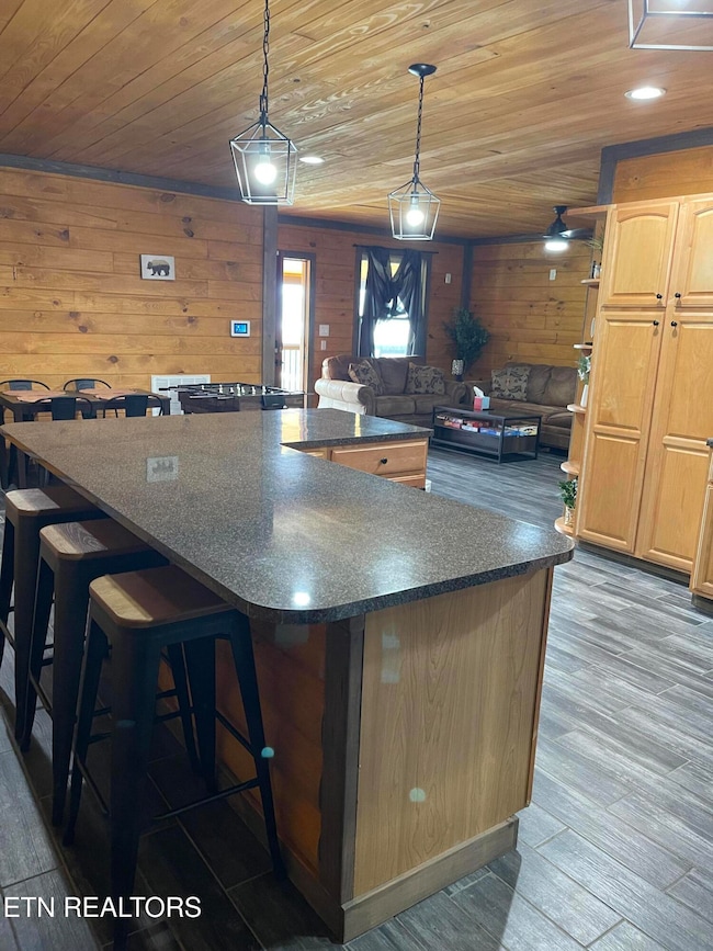 1908 Inskip Ln, Dandridge, TN 37725 - photo 6