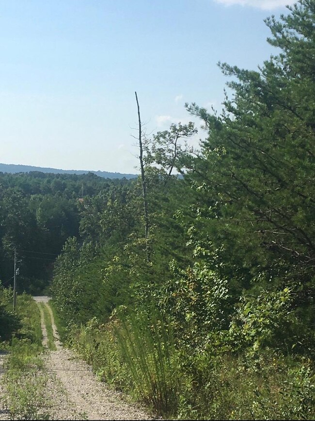 Brier Lane IMG_0652