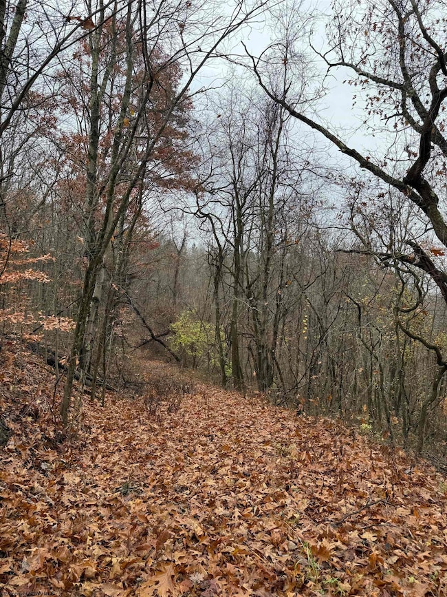 TBD Mount Morris Rd, Morgantown, WV 26501 - photo 6