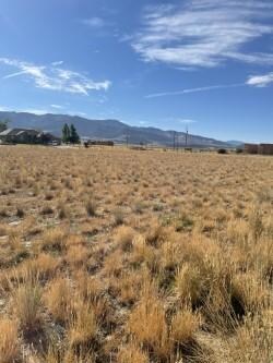 Scipio Lot 1 4
