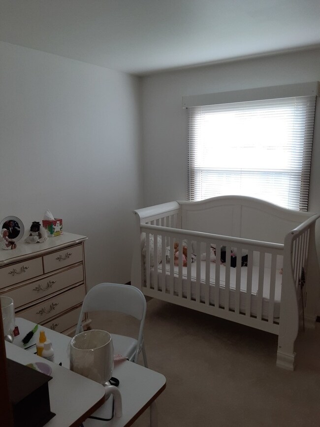 2810 W Cornelia Ave, Waukegan, IL 60085 - photo 7