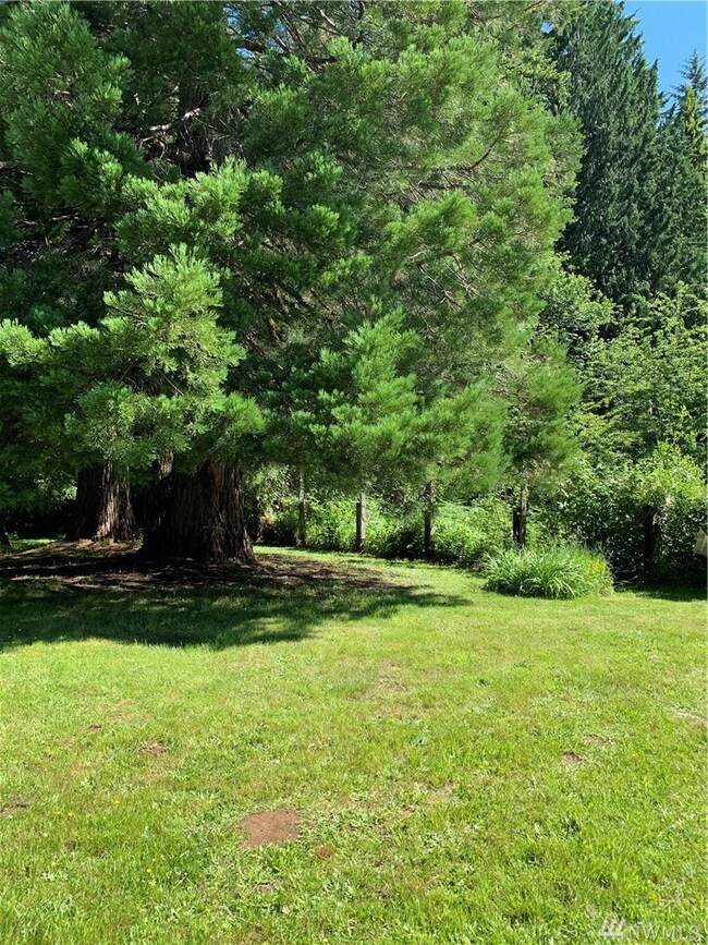 1402 Slide Creek Rd, Longview, WA 98632 - photo 4