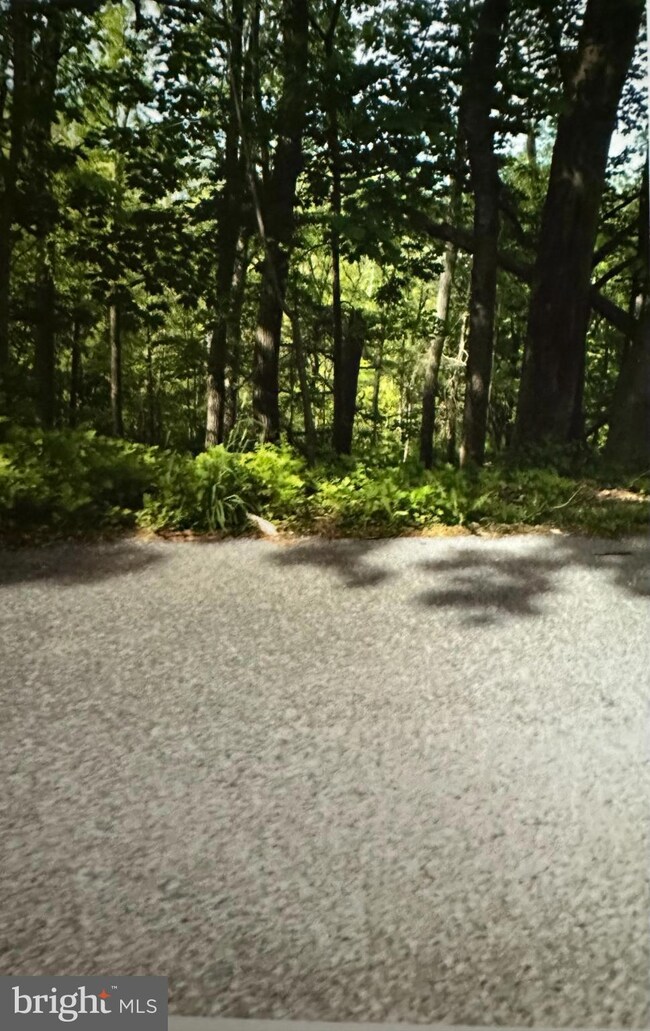 0 Mill St unit PASK2022996, Pine Grove, PA 17963 - photo 6