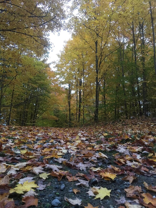 408 Hidden Ridge Rd, Pomfret, VT 05068 - photo 5