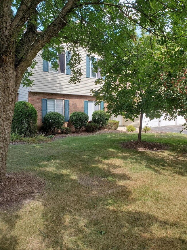 front view trees