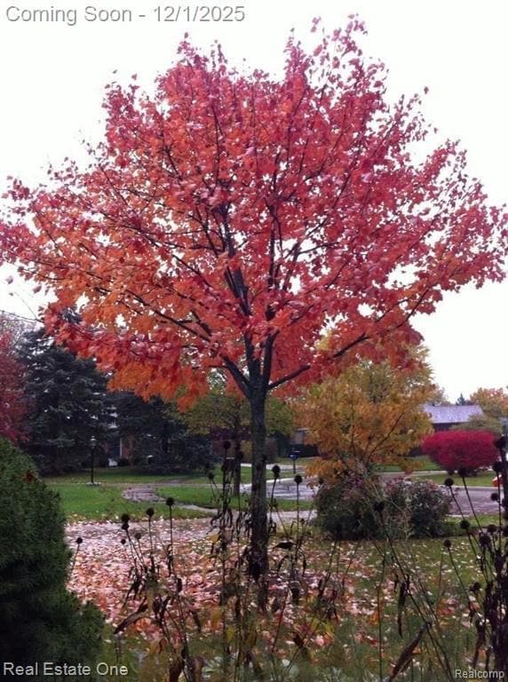 5837 Folkstone Dr, Troy, MI 48085 - photo 3