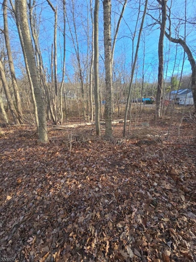 00 Linwood Rd, West Milford, NJ 07421 - photo 7