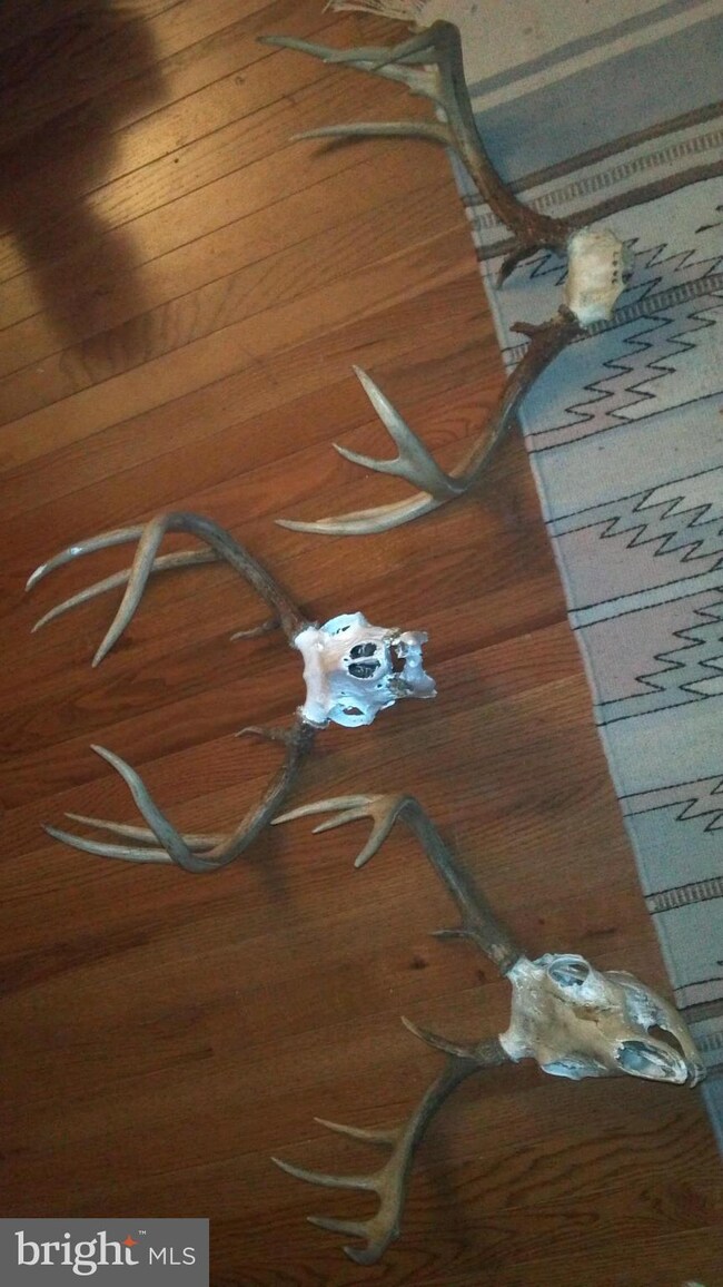 24 Trough Rd, Moorefield, WV 26836 - photo 4