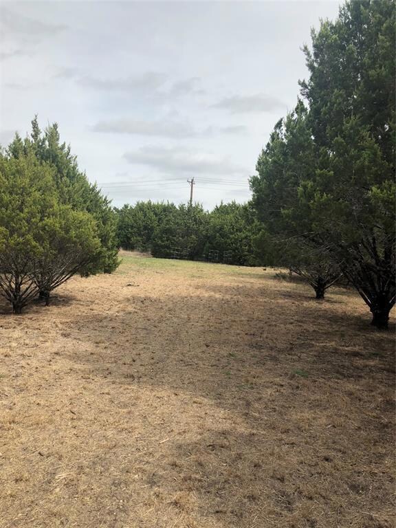 36008 Cedar View Dr, Whitney, TX 76692 - photo 2