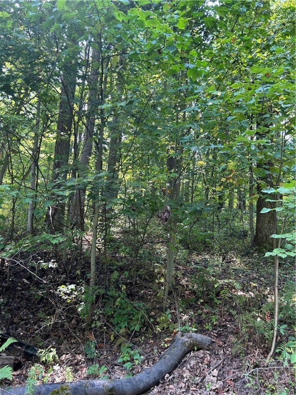 SECLUDED AND QUIET LOCATION!