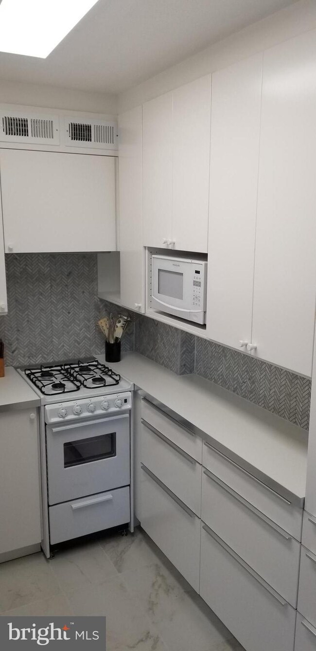 Tiber Island unit N-410, Washington, DC 20024 - photo 4