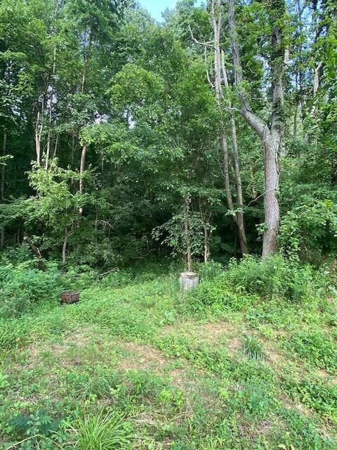 9618 N Spades Rd, Sunman, IN 47041 - photo 3