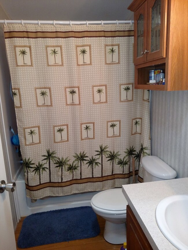 500 Beagle Run Ln, Alberta, VA 23821 - photo 3