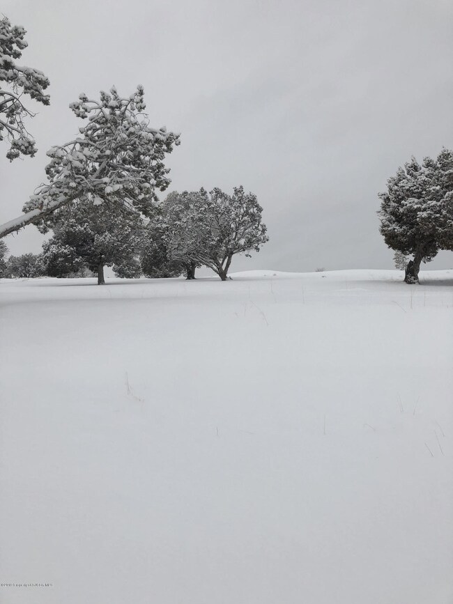6401 Old Course Dr, Farmington, NM 87402 - photo 6