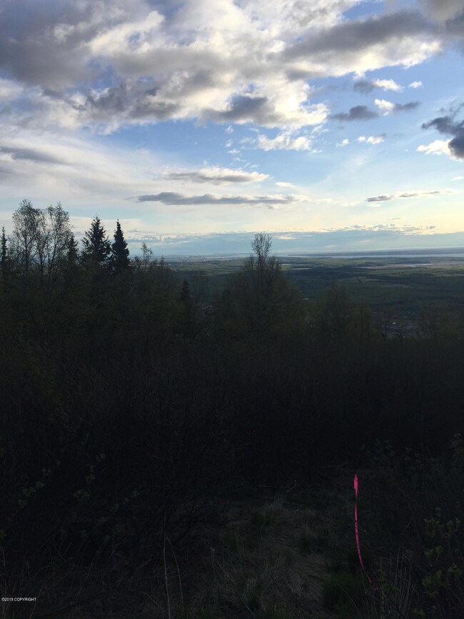 19401 Silverwood Hill Dr, Anchorage, AK 99577 - photo 7