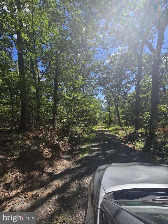 0 White Oak Rd unit VAPA2005362, Luray, VA 22835 - photo 2