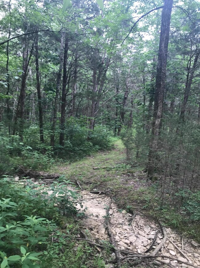 Trails