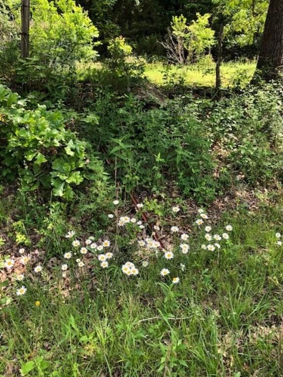 17382 Hutchens Rd, Winslow, AR 72959 - photo 5