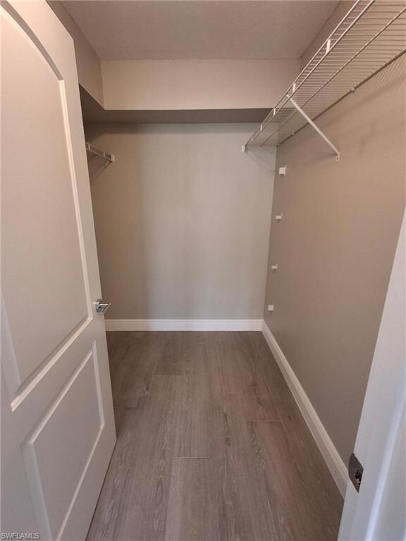 Spacious closet featuring wood finished floors