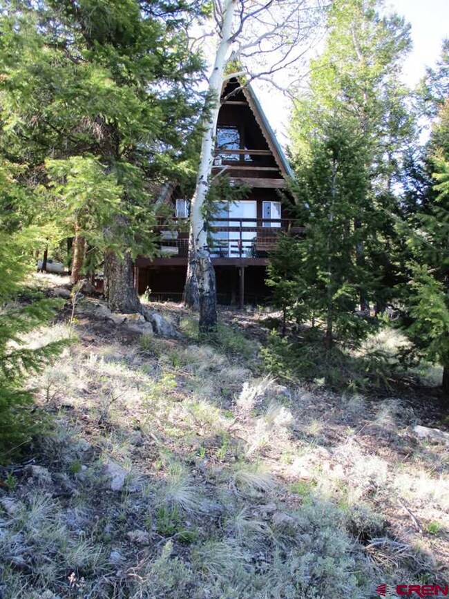 0 Slumgullion Trail unit 732858, Powderhorn, CO 81243 - photo 3