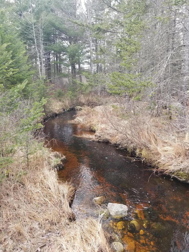 Stream
