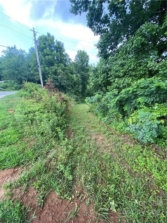 99999 Watsell Dr, Leicester, NC 28748 - photo 3