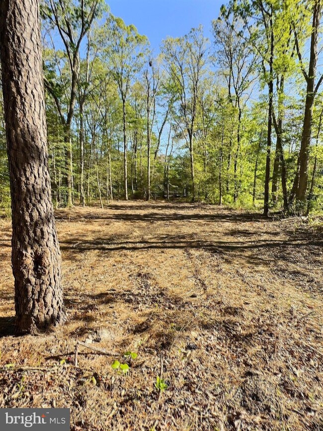 0 Shady Dell Park Birch unit DESU2100980, Frankford, DE 19939 - photo 5