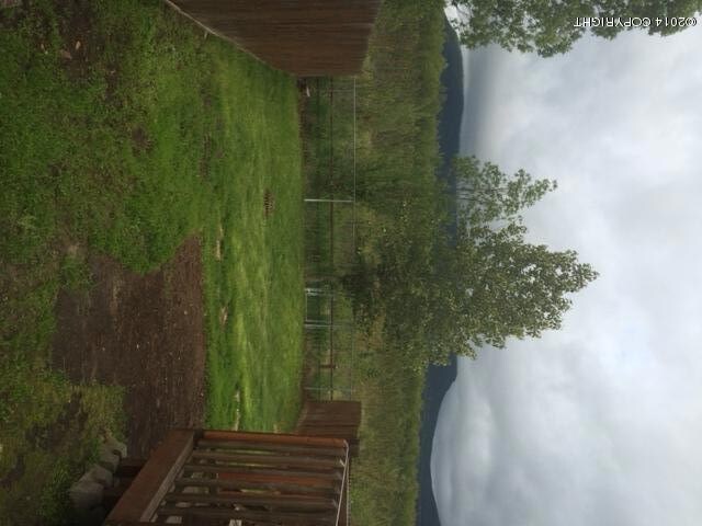 Back yard