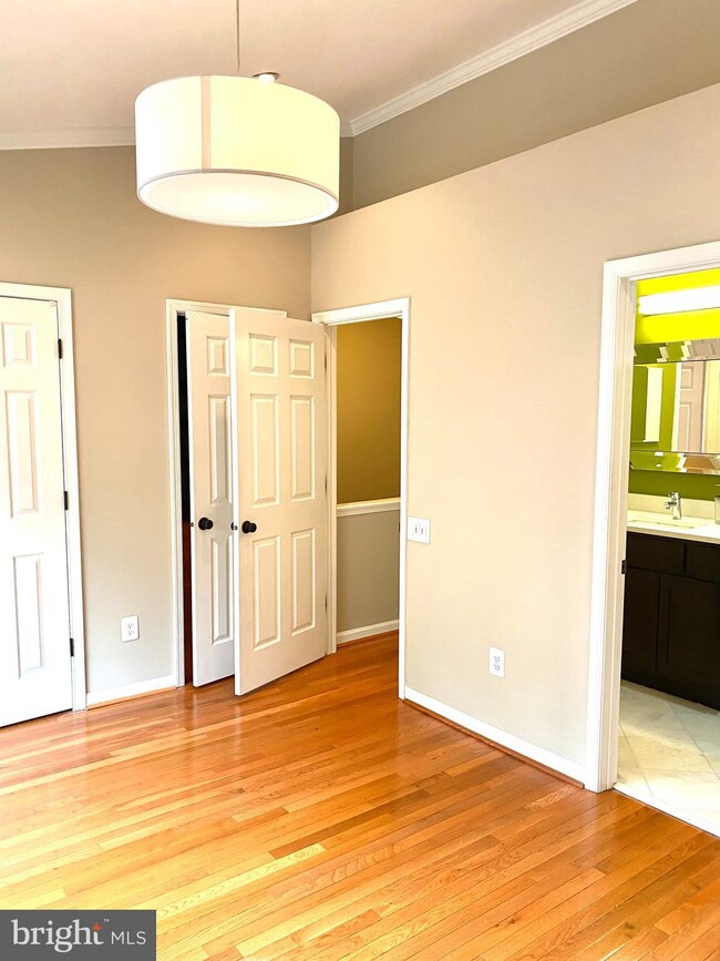 7136 Tolliver St, Alexandria, VA 22306 - photo 6