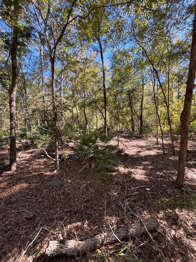 Lot 1 SE 843rd St, Old Town, FL 32680 - photo 7