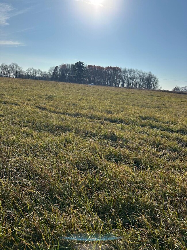 10916 W Howard City Rd