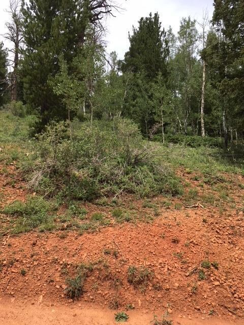 564 W Ski View Dr unit Lot 13-Bk A-Ski View, Brian Head, UT 84719 - photo 6