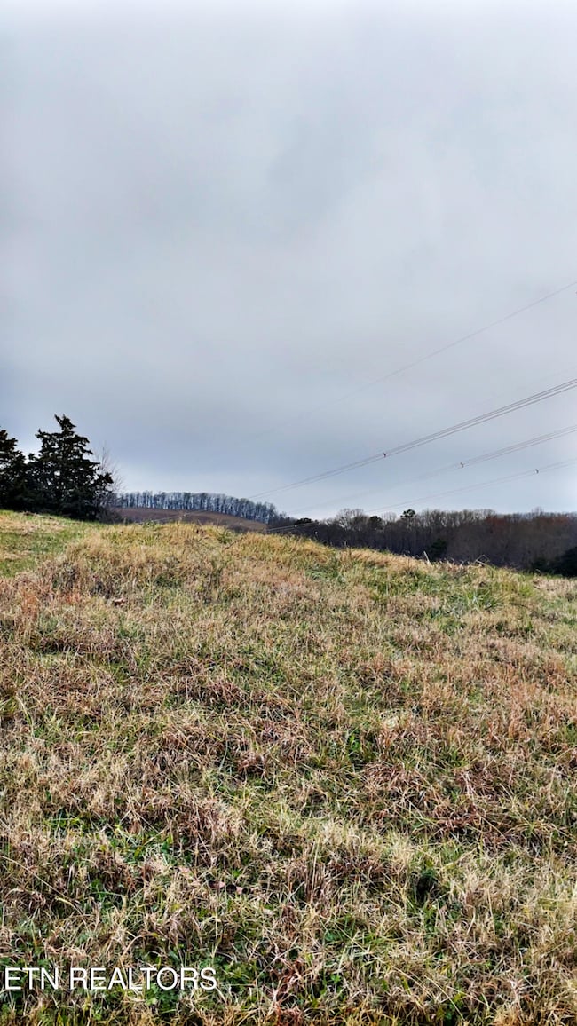 0 Campbells Point Rd, Corryton, TN 37721 - photo 4