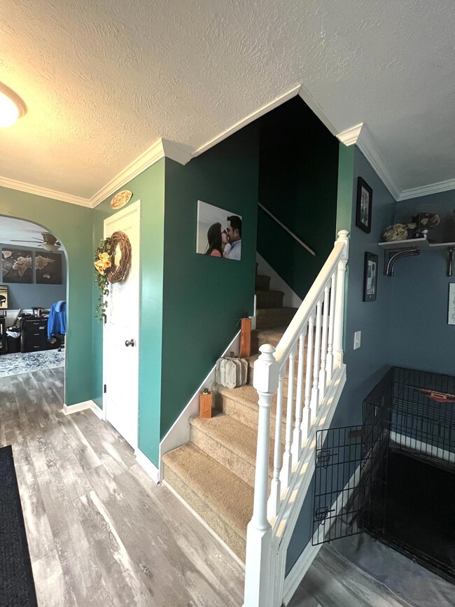 116 Deer Creek Cir, Nettie, WV 26681 - photo 5