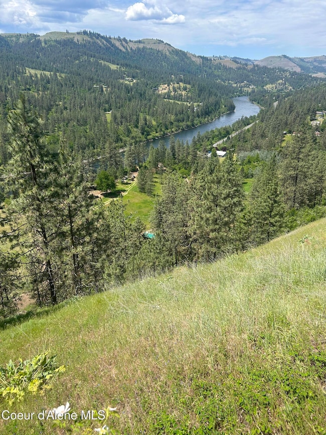 IMG_4642