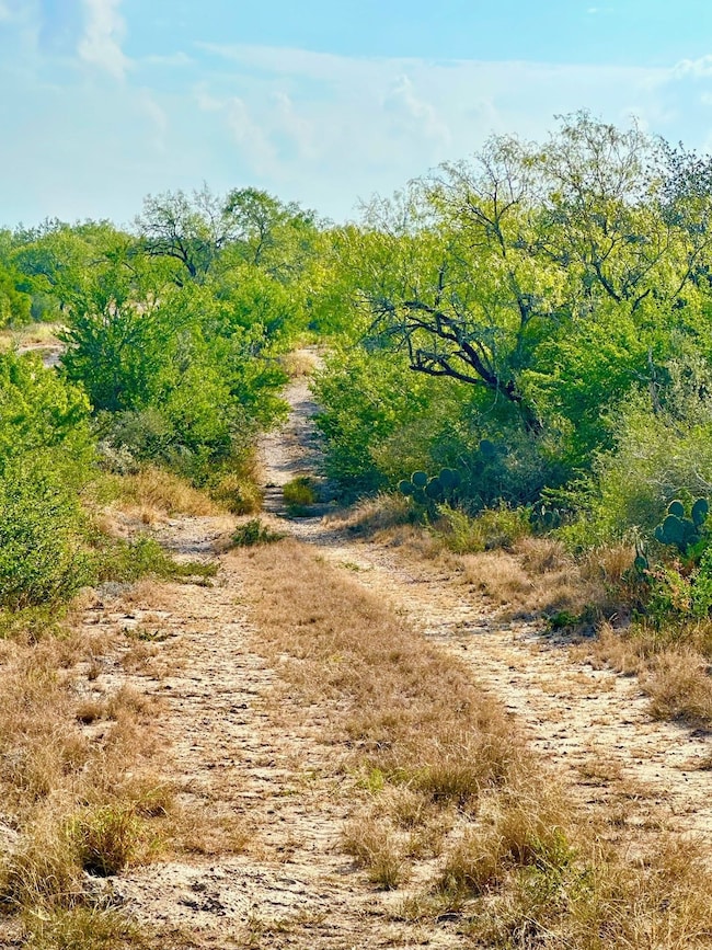 343 County Road 436, Three Rivers, TX 78071 - photo 6