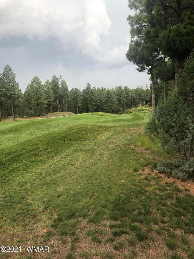 Golf course view