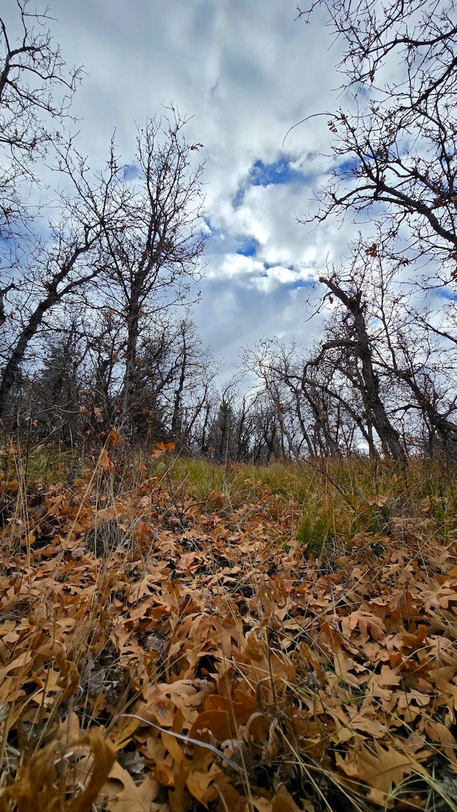 138 E Oak Ridge Dr, Mount Pleasant, UT 84647 - photo 2