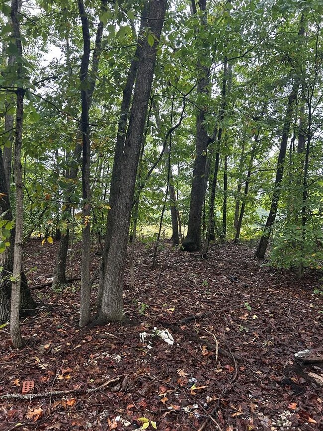 141 Kozy Ln, Buckingham, VA 23921 - photo 4