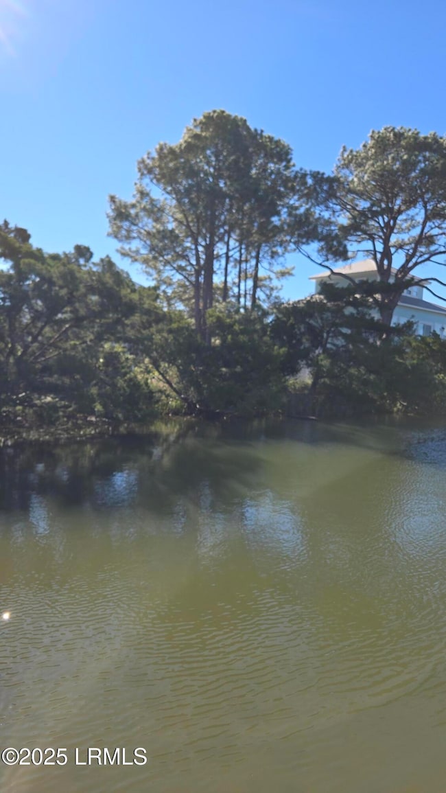 121 Harbour Key Dr, Saint Helena Island, SC 29920 - photo 2