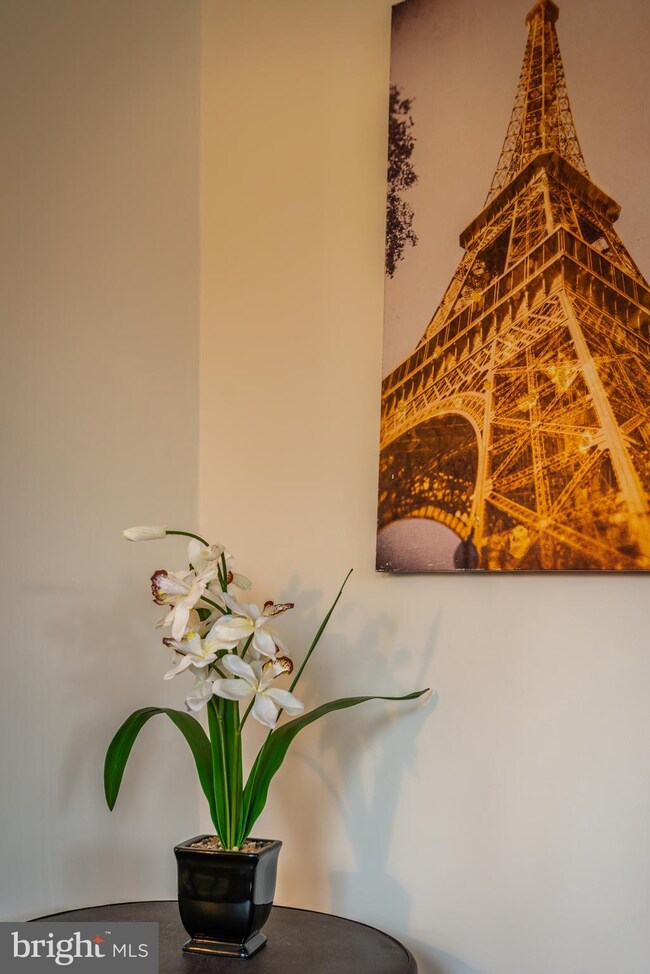 3708 N Rogers Ave, Gwynn Oak, MD 21207 - photo 5