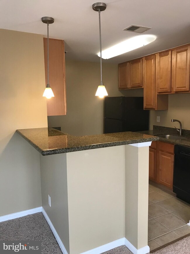 The Four Winds at Oakton unit 3-C2, Oakton, VA 22124 - photo 3