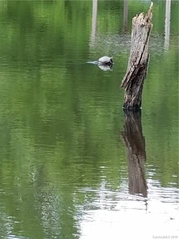 3075 Heavenly Path, Locust, NC 28097 - photo 6