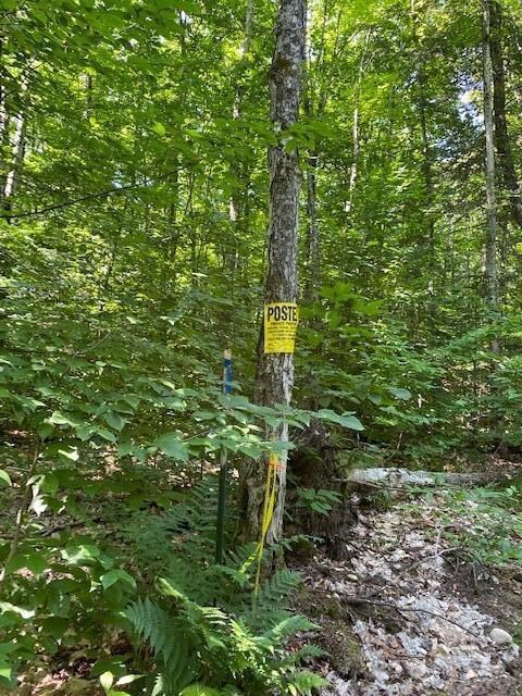 WEST END OF PROPERTY